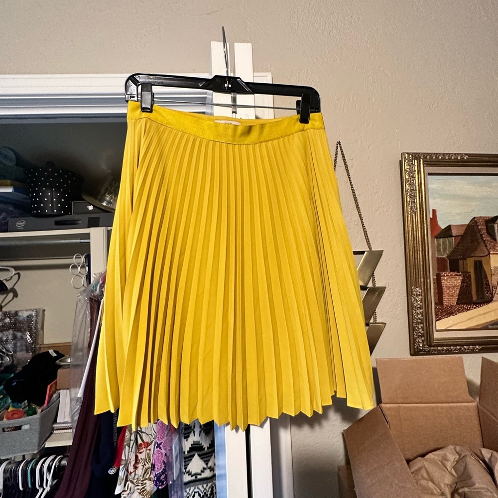 Loft Pleated Skirt (Size 2)